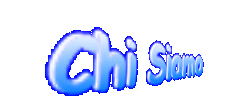 Chi Siamo